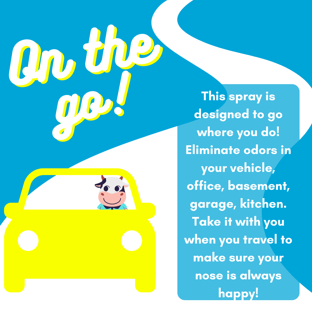 Solid Spare 2 Pack - Happy Nose! Air Freshener & Odor Remover Spray - Ollie's Ocean Breeze