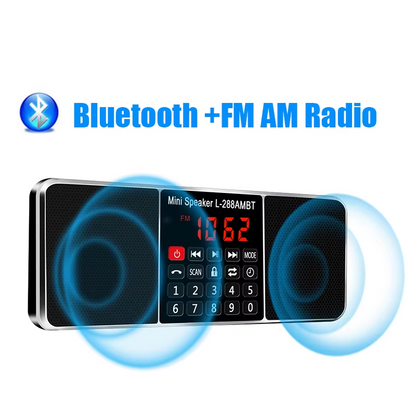TR602 Portable Radio,FM/AM Rechargeable Digital Stereo Radio With Bluetooth,Gift