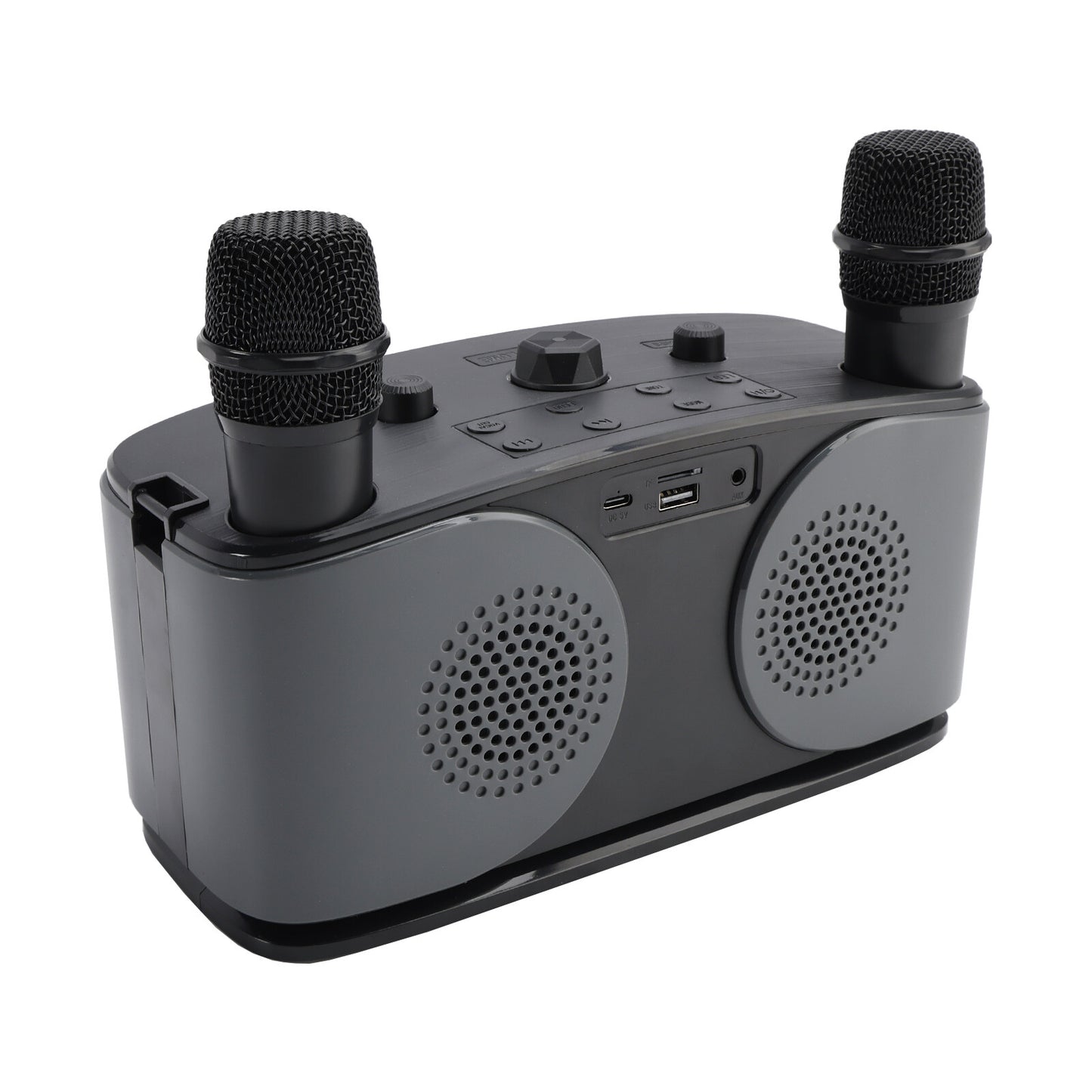 Wireless Bluetooth Speaker High Power Dual Microphone Karaoke All-in-One Audio