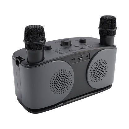 Wireless Bluetooth Speaker High Power Dual Microphone Karaoke All-in-One Audio