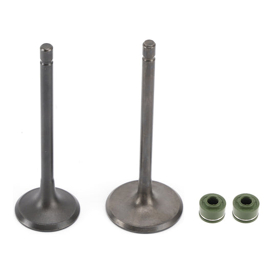 Head Intake Exhaust Valves Seals For CG 250cc Pit Bike Dirt Bike ATV Quad Bashan