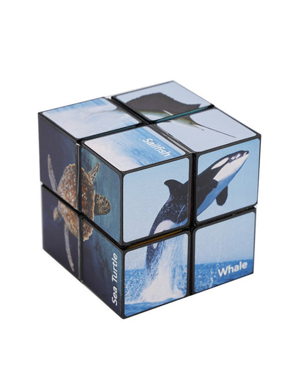 2 In 1 Ocean Style Star Cube Magic Cube Set For Kid And Adult Toy Ages 8-12