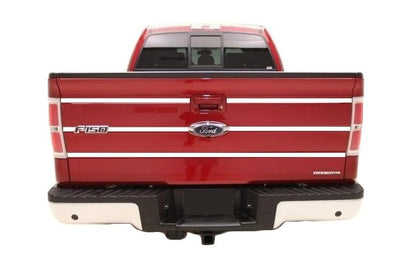 TAILGATE TRIM STRIPE KIT For FORD F150 09 10 11 12 13 14 Many Color Choices