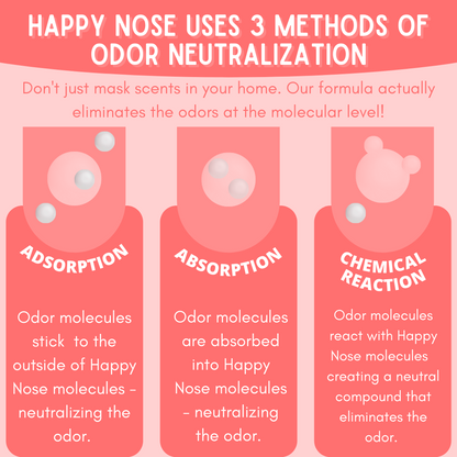 Solid Spare 2 Pack - Happy Nose! Air Freshener & Odor Remover Spray - Abby's Apple Orchard