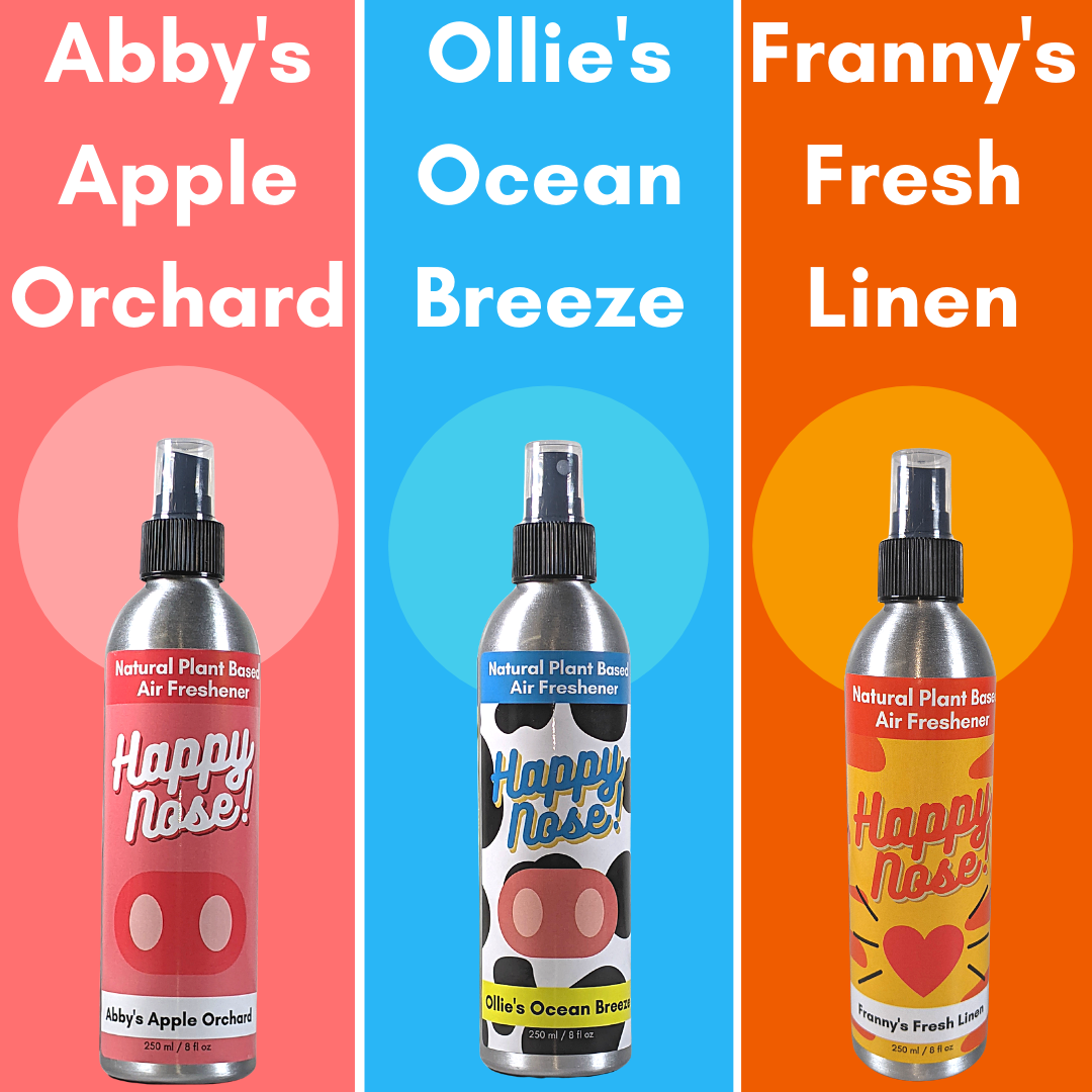 Solid Spare 2 Pack - Happy Nose! Air Freshener & Odor Remover Spray - Ollie's Ocean Breeze