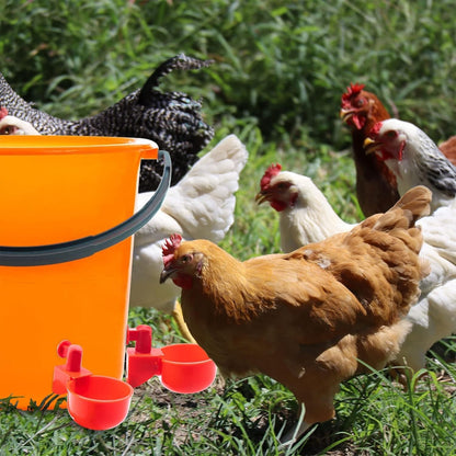 12x Chicken Automatic Watering Cups, Drinker Waterer, for Duck Quail Hen Poultry