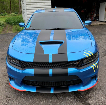 10" VINYL RALLY STRIPES RACING STRIPE KIT HOOD TRUNK ROOF For DODGE CHARGER