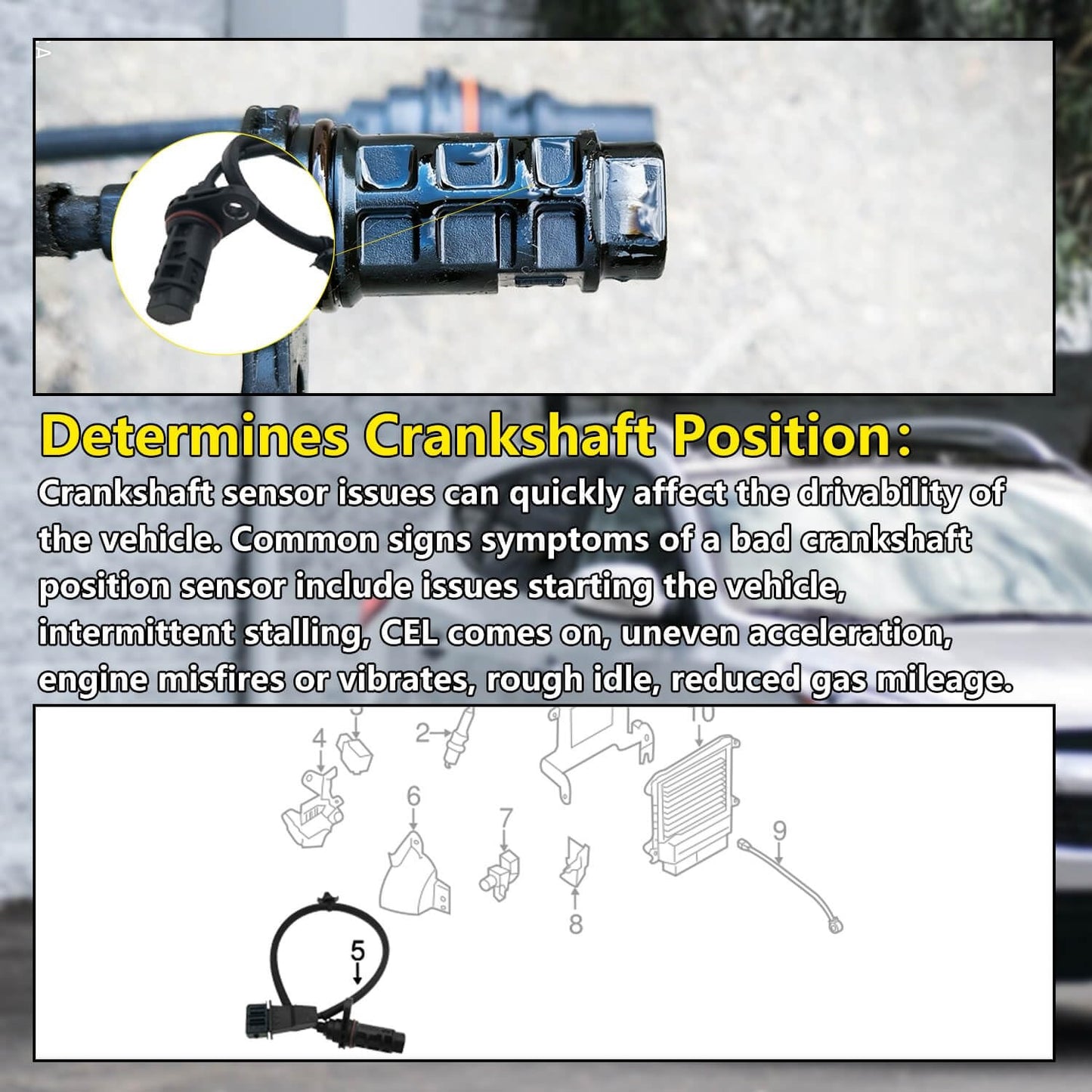Crankshaft Position Sensor 39180-25300  for Various Hyundai Kia