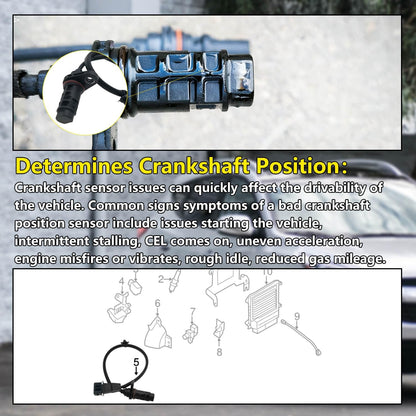 Crankshaft Position Sensor 39180-25300  for Various Hyundai Kia