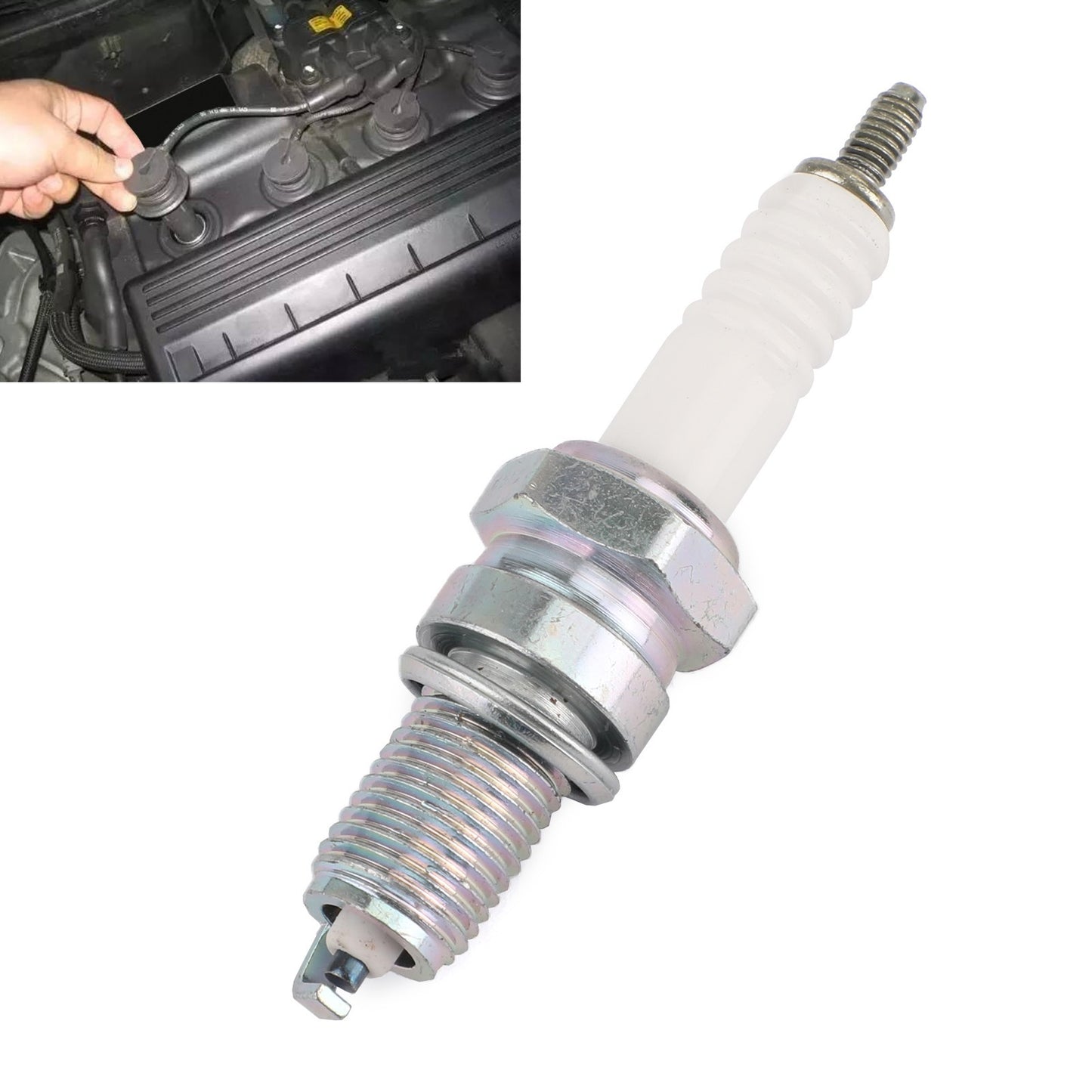 Spark Plug DPR8EA-9 fit for Honda VF1100 MAGNA SABRE VF VT750C GL1200 GL1100 !!