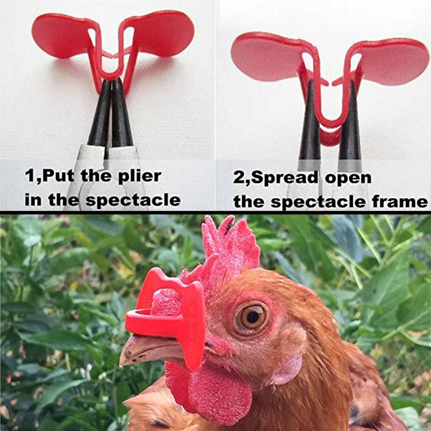 20 Pieces Pinless Peepers With Pliers Chicken Peepers Eye Glasses Pheasan USA
