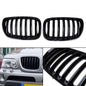 Gloss Black Front Kidney Grill Grille Fit BMW X5 E53 2004-2006 X Series USA