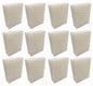 Solid Spare EFP Humidifier Wick Filters for Bionaire CBW9 - 12 Pack