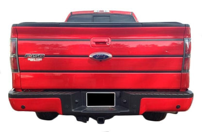 TAILGATE TRIM STRIPE KIT For FORD F150 09 10 11 12 13 14 Many Color Choices