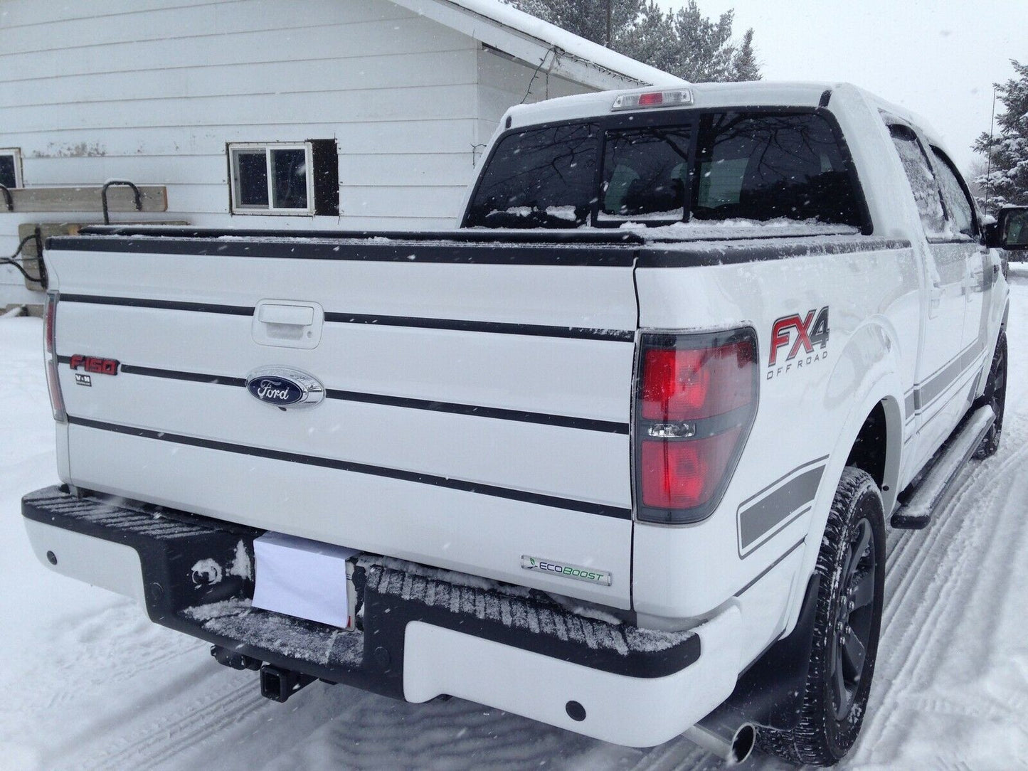TAILGATE TRIM STRIPE KIT For FORD F150 09 10 11 12 13 14 Many Color Choices