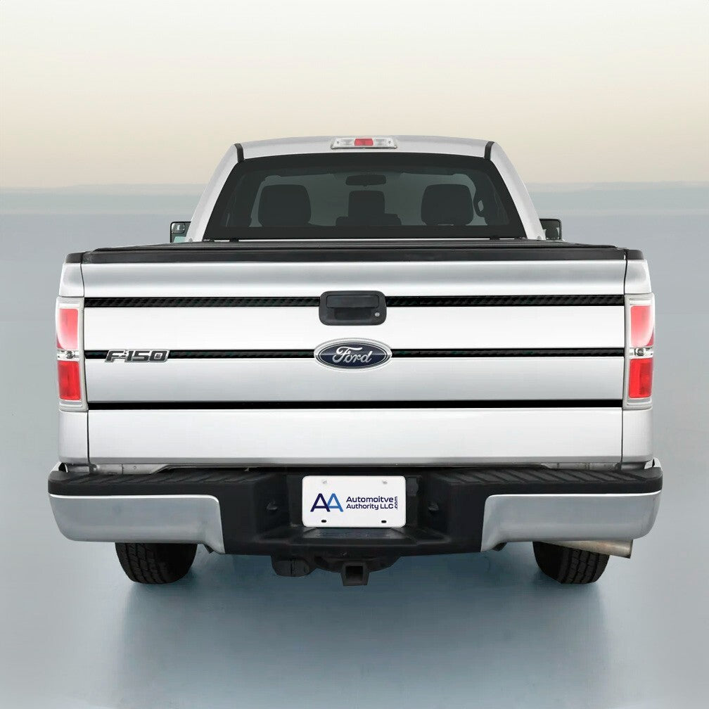 2009-2014 Ford F150 Carbon Fiber Tailgate Trim Molding Inserts By Auto Authority