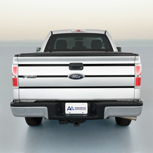 Solid Spare 2009-2014 Ford F150 Carbon Fiber Tailgate Trim Molding Inserts By Auto Authority