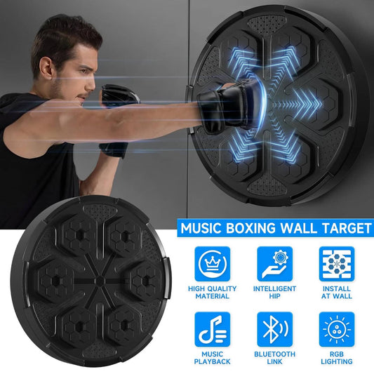 Solid Spare Wall Mount Boxing Training Target Bluetooth Music Indoor React Exercise Machine