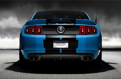 8" VINYL RALLY STRIPES RACING STRIPE KIT HOOD TRUNK ROOF For FORD MUSTANG