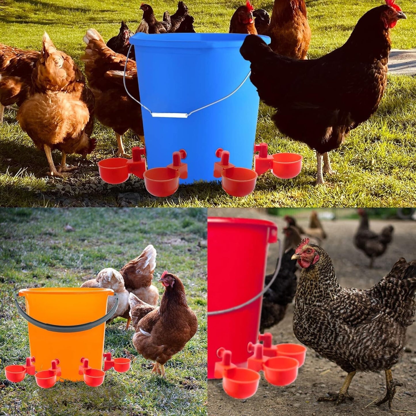 12x Chicken Automatic Watering Cups, Drinker Waterer, for Duck Quail Hen Poultry