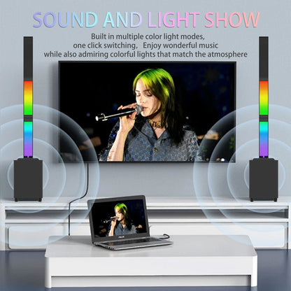 2.1 Subwoofer RGB Detachable TWS Wireless Karaoke Home Theater Bluetooth Speaker