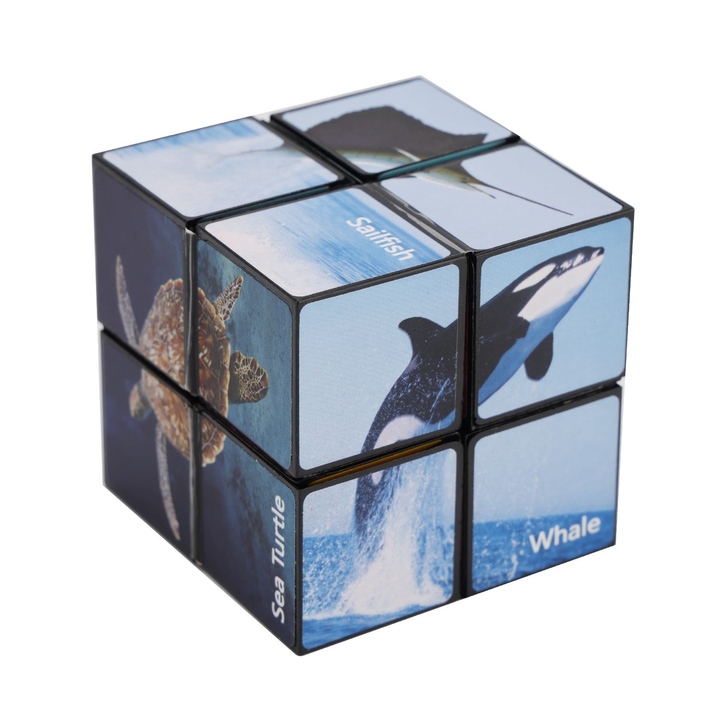 2 In 1 Ocean Style Star Cube Magic Cube Set For Kid And Adult Toy Ages 8-12