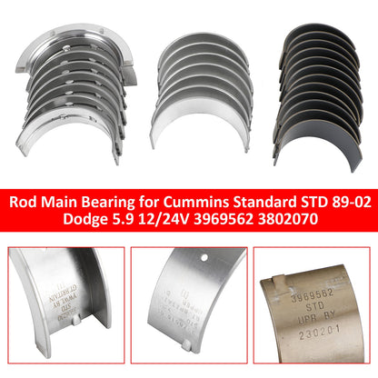 Rod Main Bearing for Cummins Standard STD 89-02 Dodge 5.9 12/24V 3969562  US