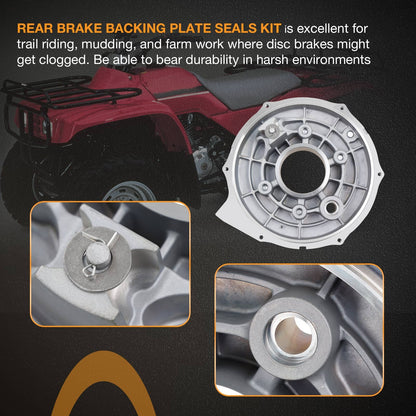 Rear Brake Backing Plate & Bearing Seals Kit For Honda Fourtrax TRX300 TRX300FW