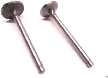 Solid Spare Kohler 32-016-01-S + 24-017-01-S Exhaust Valve and Intake Valve Kit