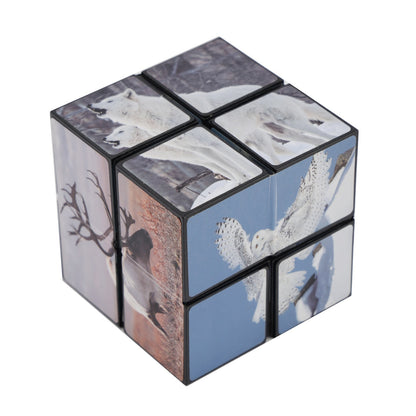 2 In 1 North South Poles Style Star Magic Cube For Kid And Adult Toy Ages 8-12