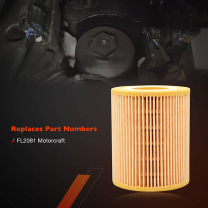 FD4627 Diesel Fuel Oil Filter Kit For 2018-2021 Ford F150 3.0L  Engines FL2081