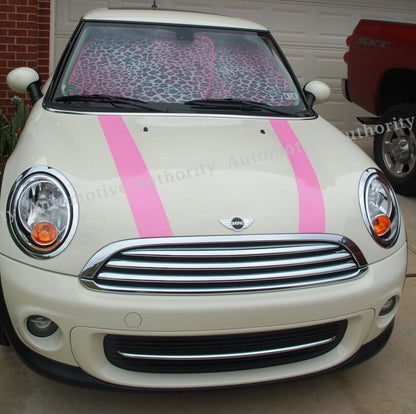 DUAL 4" VINYL RALLY STRIPES RACING STRIPE + BONUS KIT For PINK MINI COOPER S