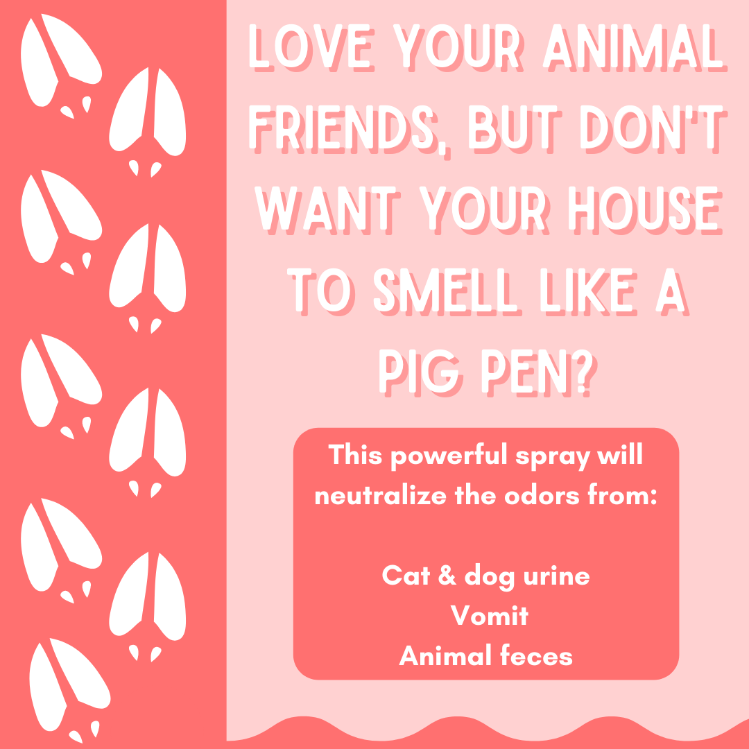 Solid Spare (2 Pack) Happy Nose! Natural Plant Based Air Freshener Trio - 3 Scents