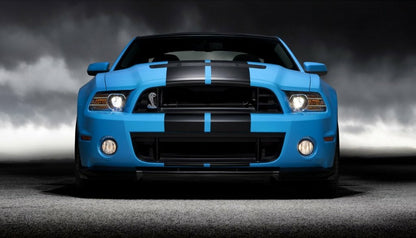 10" BLACK CARBON FIBER VINYL RALLY STRIPES RACING STRIPE For FORD MUSTANG COBRA