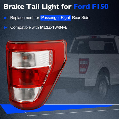 Rear Right Side Halogen Tail Light Lamp Assy For 21-23 Ford F-150 XL ML3Z13404E