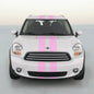 DUAL 4" VINYL RALLY STRIPES RACING STRIPE + BONUS KIT For PINK MINI COOPER S