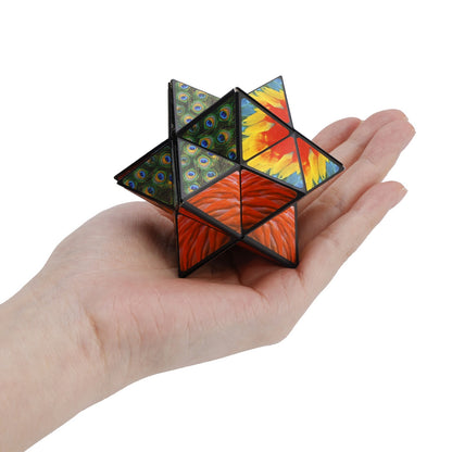 2 In 1 Animal Style Star Cube Magic Cube Set For Kid And Adult Toy Ages 8-12