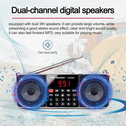 TR602 Portable Radio,FM/AM Rechargeable Digital Stereo Radio With Bluetooth,Gift