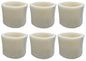 Solid Spare (6) EFP Replacement Humidifier Filters for Sunbeam SF221PDQ-UM, SCM3755C