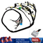 OBD1 Budget D & B-series Tucked Engine Harness for Civic Integra B16 B18 D16
