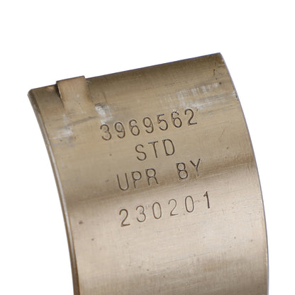 Rod Main Bearing for Cummins Standard STD 89-02 Dodge 5.9 12/24V 3969562 3802070