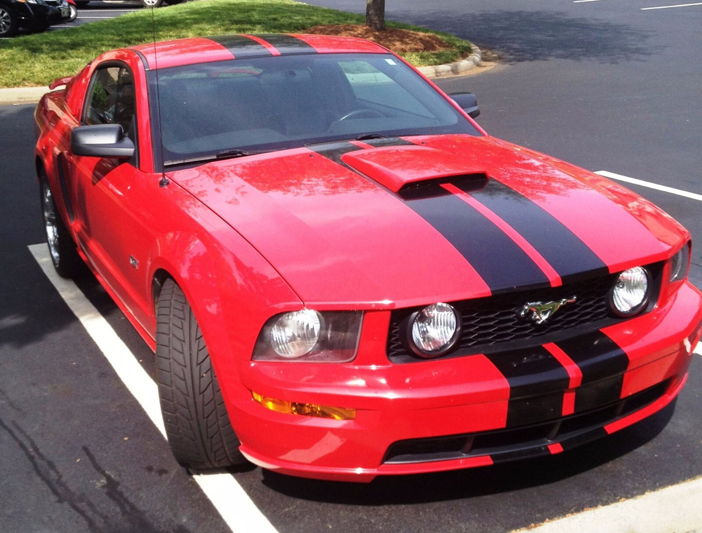 5" VINYL RALLY STRIPES RACING STRIPE KIT DECAL For FORD MUSTANG  - FREE SHIPPING