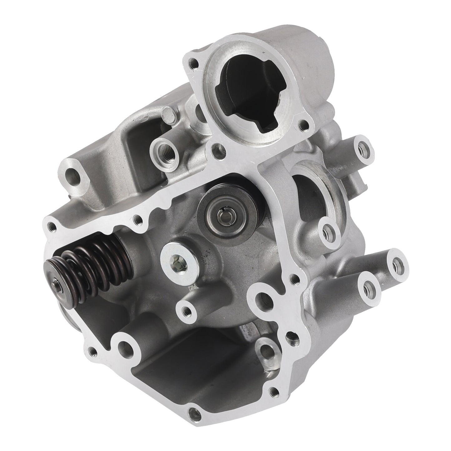 Cylinder Head Valves Kit For Honda Rancher 420 TRX420 FE FM TM TE FPA 2009-2024