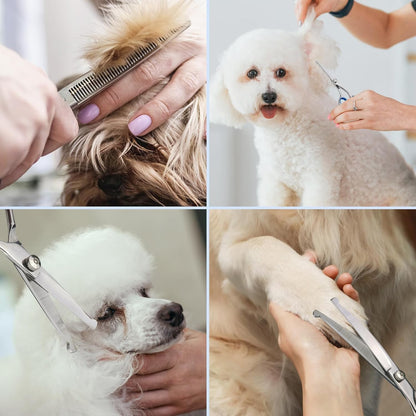 6PCS Professional Pet Dog Grooming Scissors Set Straight Curved Thinning Shear