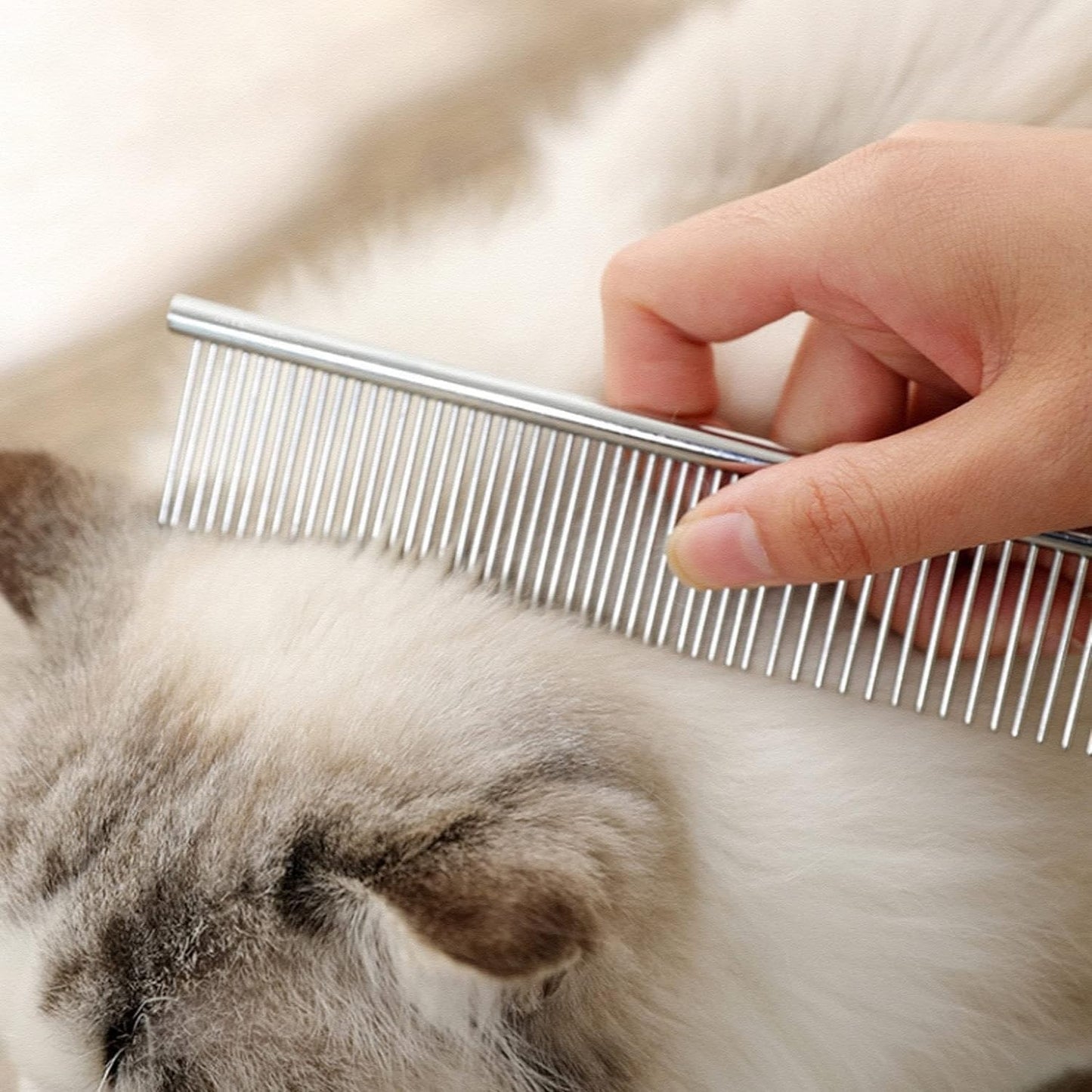 6PCS Professional Pet Dog Grooming Scissors Set Straight Curved Thinning Shear