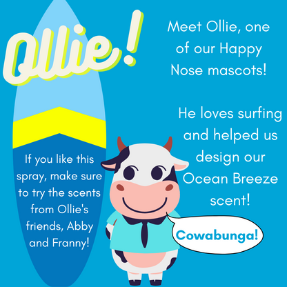Solid Spare 2 Pack - Happy Nose! Air Freshener & Odor Remover Spray - Ollie's Ocean Breeze