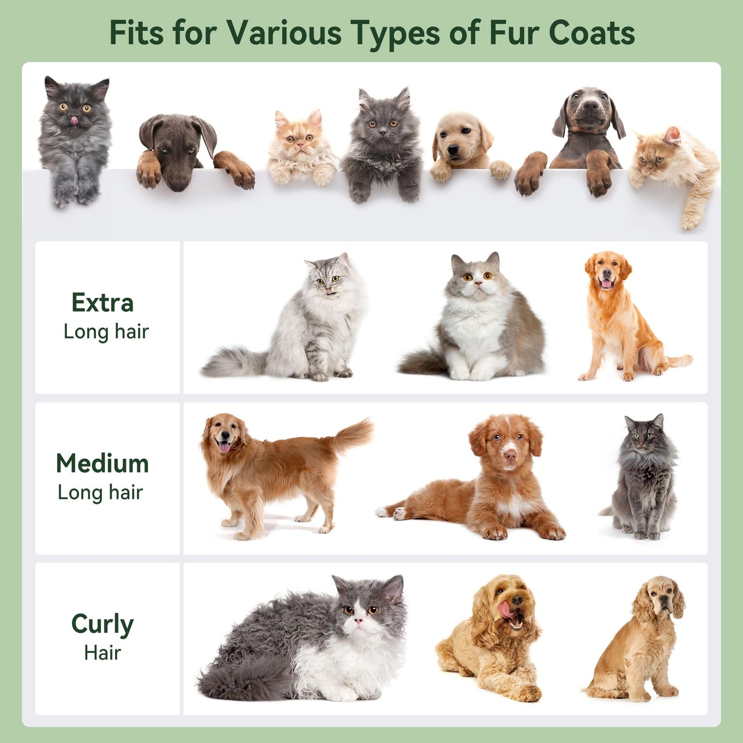 5 In 1 Pet Grooming Kit Vacuum Suction Professional Pet Hair Clipper