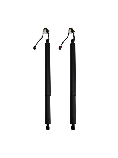 2PCS Rear Tailgate Power Lift Support 81831S1100 Fit Hyundai Santa Fe 2019-2020