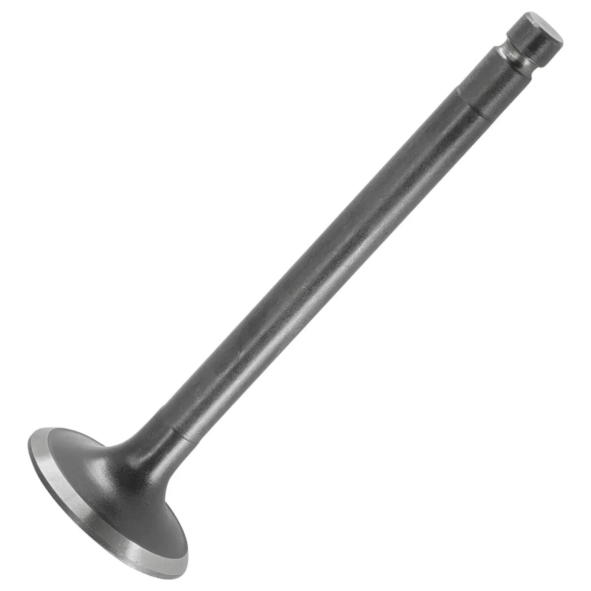 Solid Spare Kohler 32 016 02-S Exhaust Valve (.25)