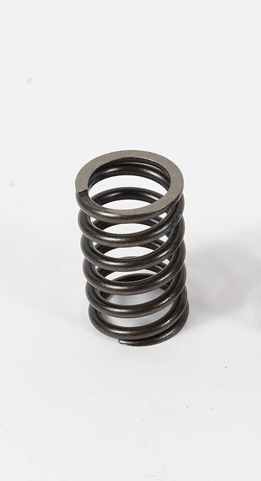 Solid Spare Kohler 24 089 02-S Valve Spring